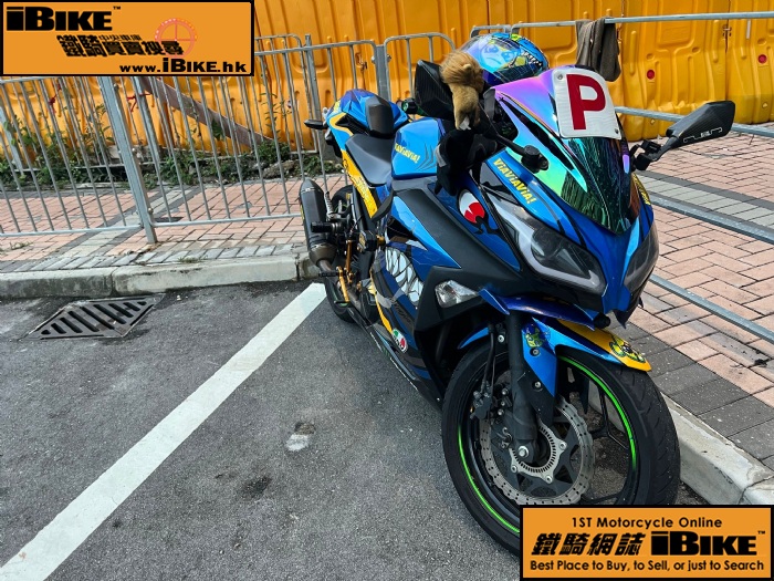 Kawasaki Ninja 300 ABS 冬季限定版 電單車
