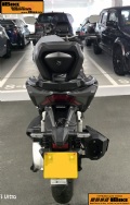 HONDA ADV 350 �q�樮
