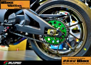 Others ZX-10R (2011-15') 電單車