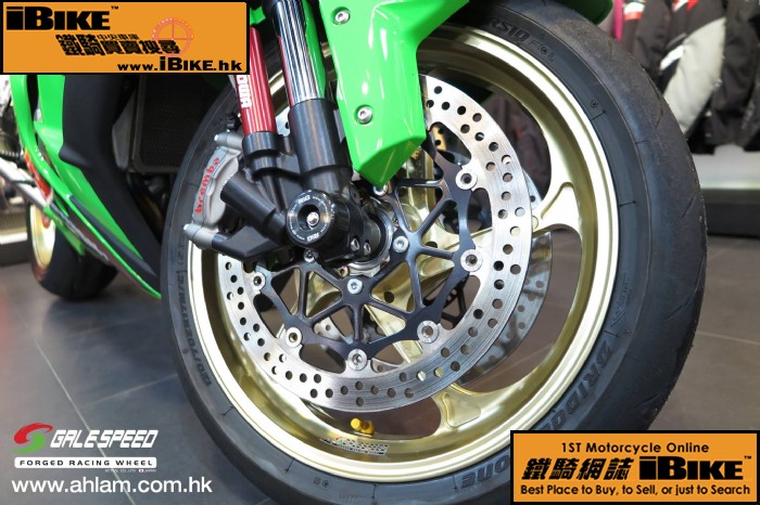 Others Gale Speed ZX-10R 電單車