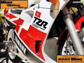 YAMAHA Yamaha - TZR250 �q�樮