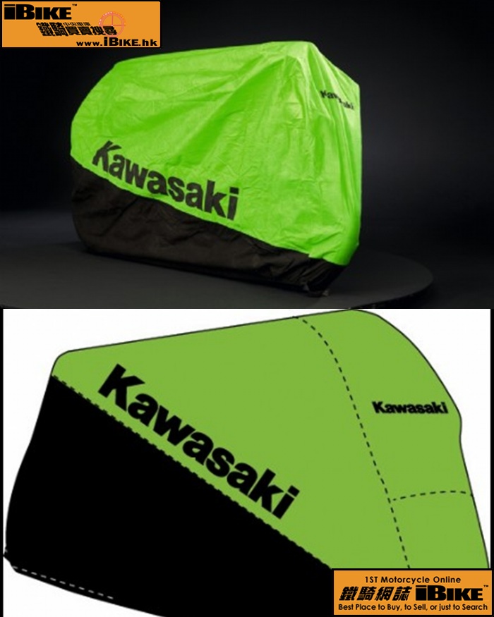 Others kawasaki 電單車