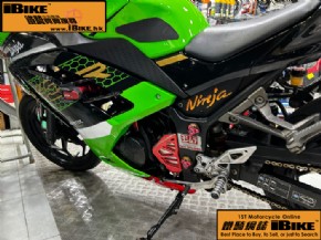 Kawasaki Ninja 300 (Ninja 300) q樮